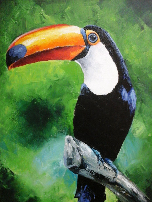 Toucan Bird | Diamond Painting