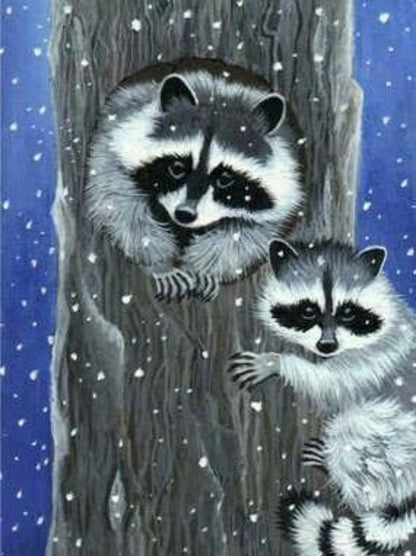 Raccoon | Diamond Painting