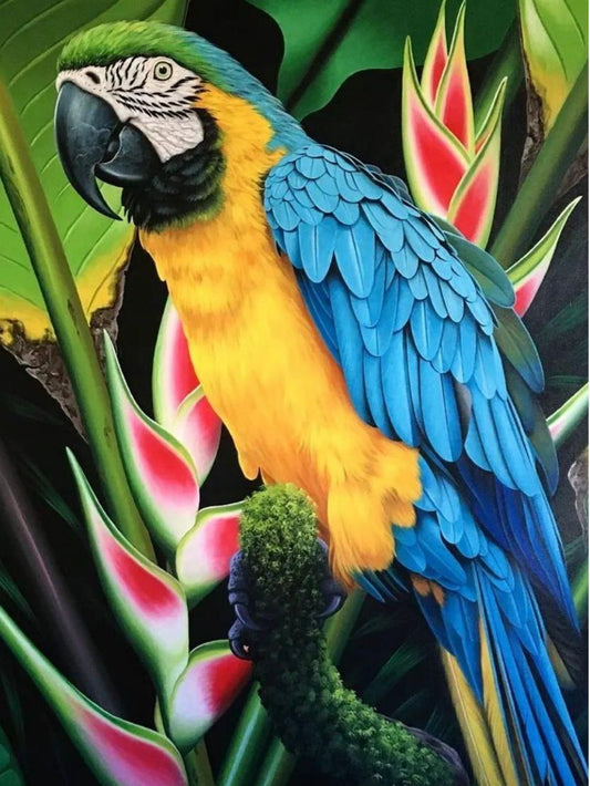 Macaw | Diamond Painting