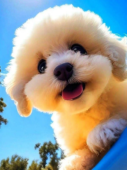 Dog Bichon Frise | Diamond Painting