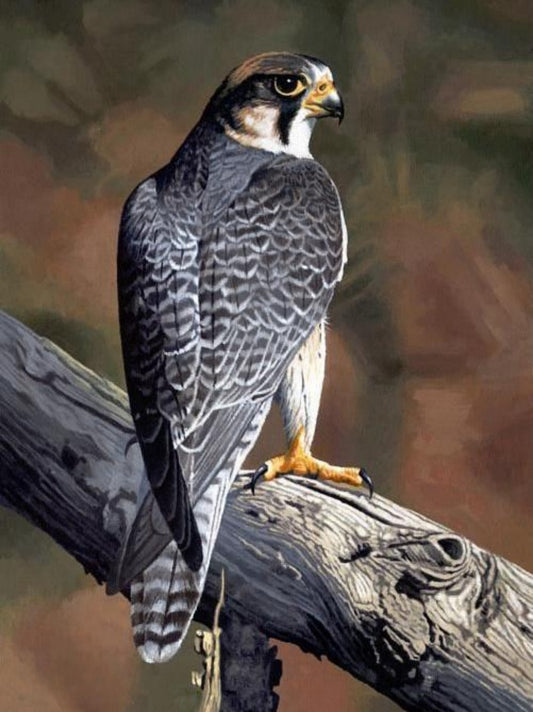 Falcon | Diamond Painting