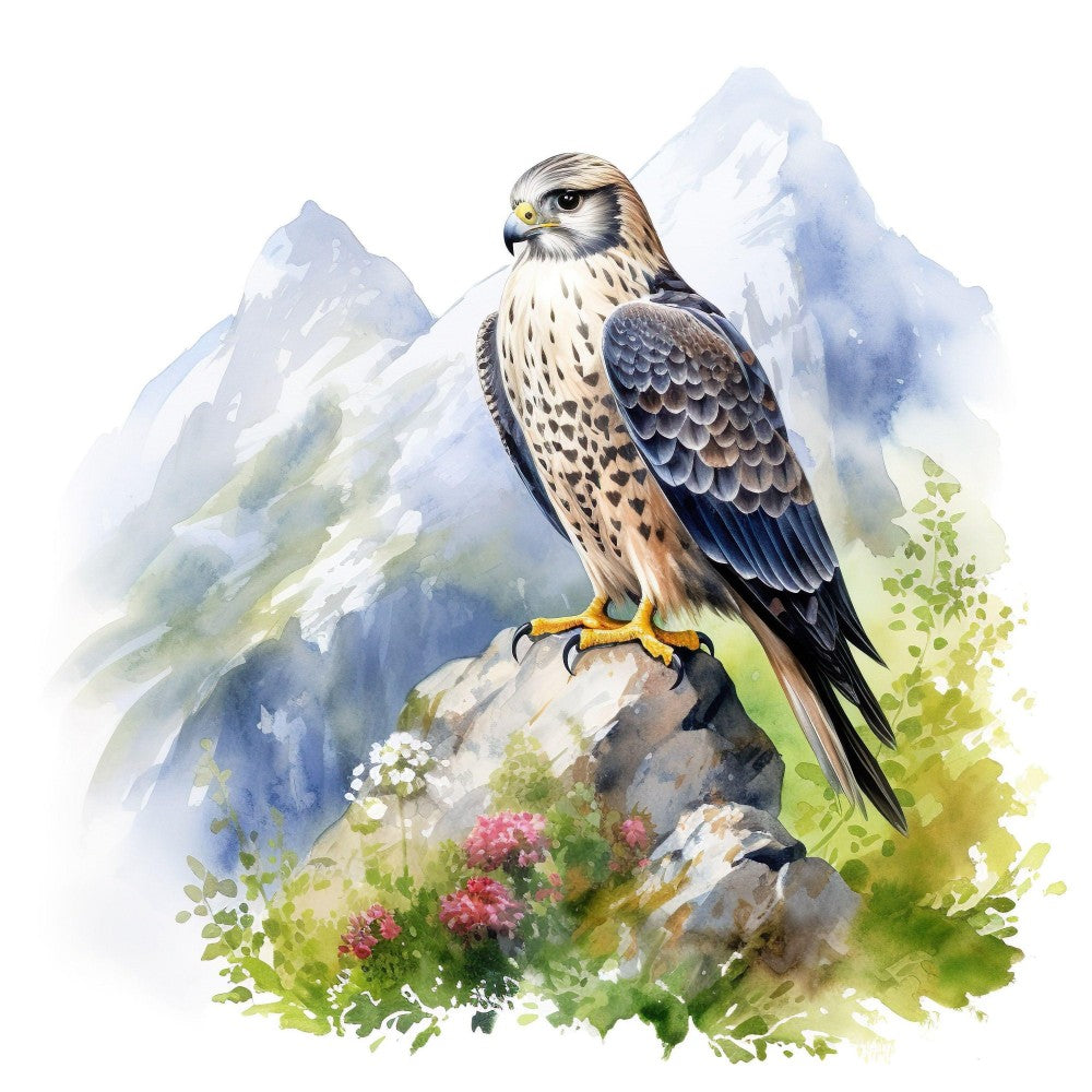 Falcon | Diamond Painting