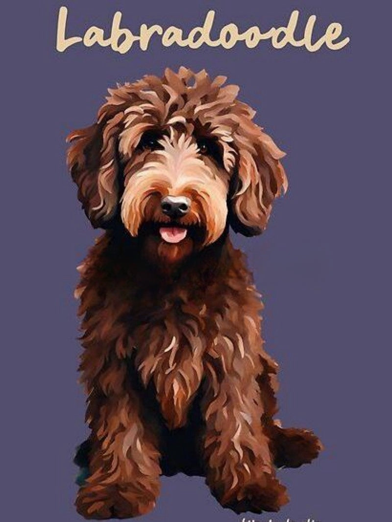 Labradoodle Dog | Diamond Painting