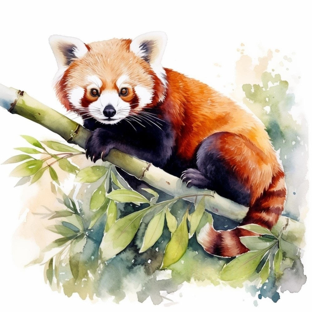 Red Panda | Diamond Painting
