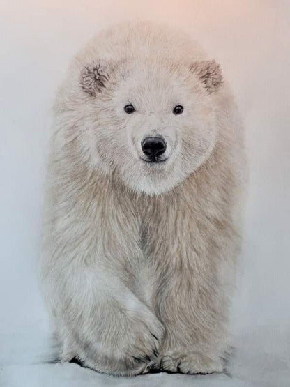 Polar Bear | Diamond Painting