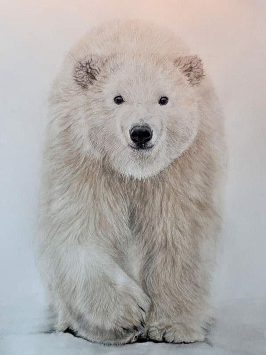 Polar Bear | Diamond Painting