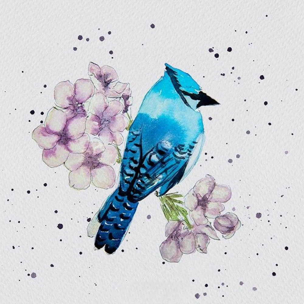 Blue Jay | Diamond Painting