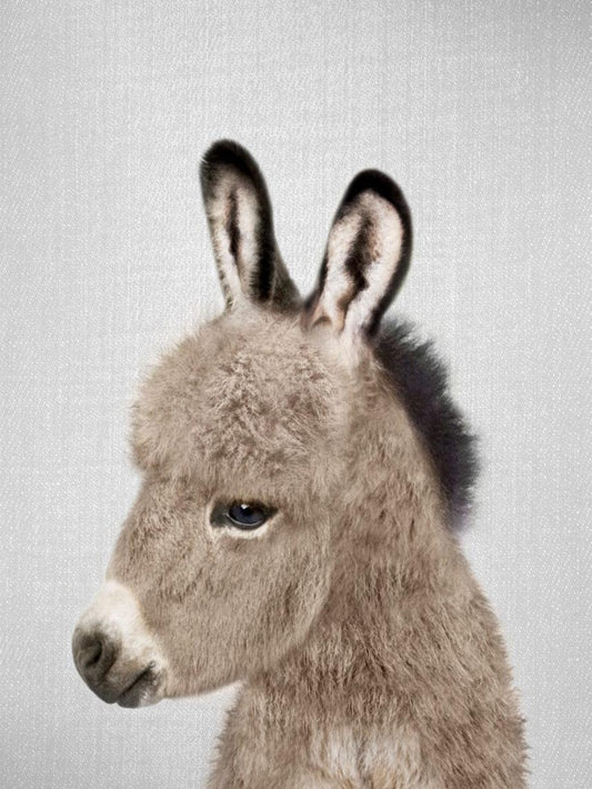 Donkey | Diamond Painting