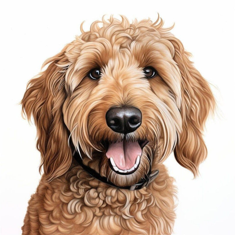 Labradoodle Dog | Diamond Painting