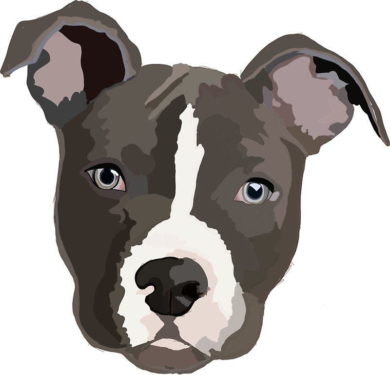 Pit Bull Dog | Diamond Painting