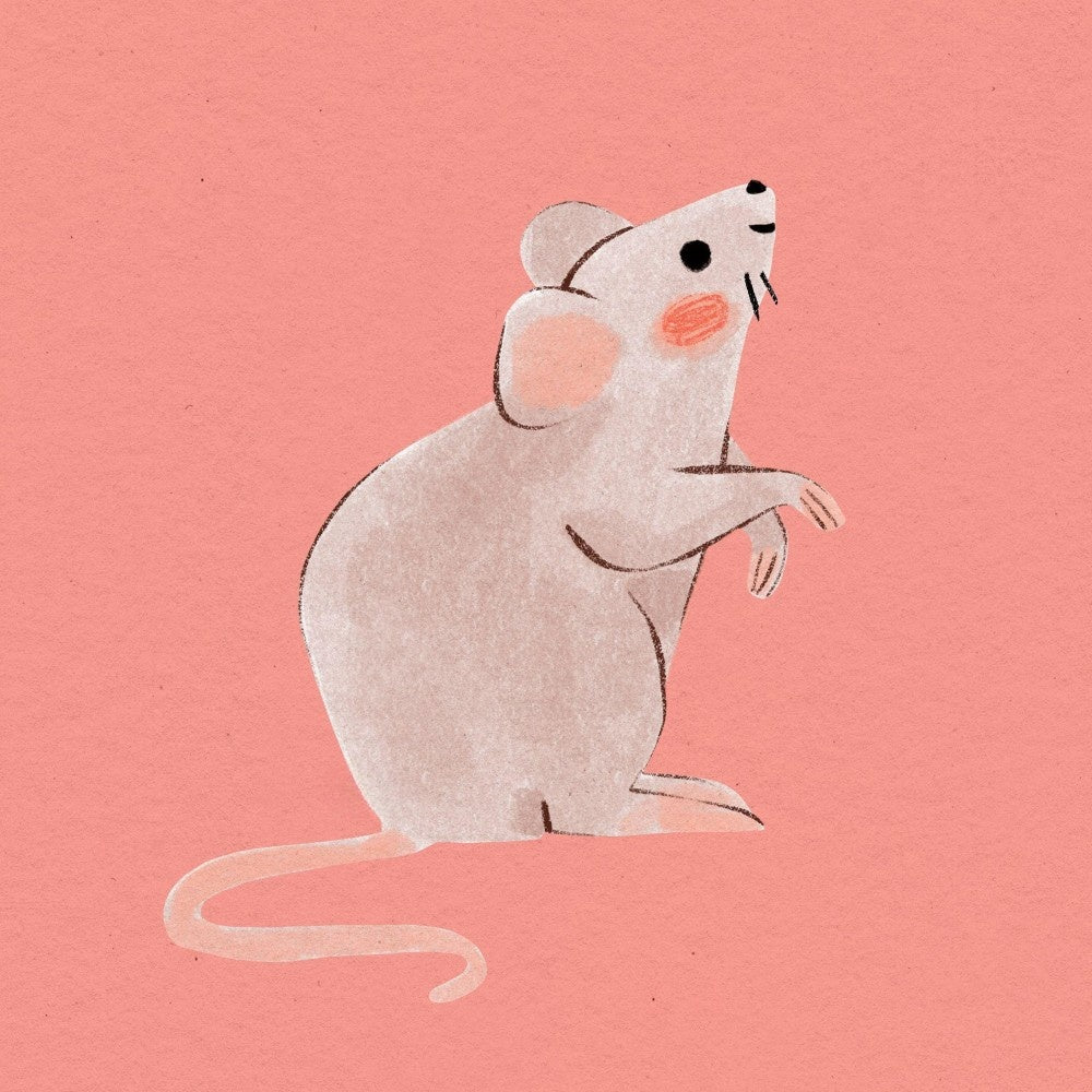 Mouse Rat | Diamond Painting