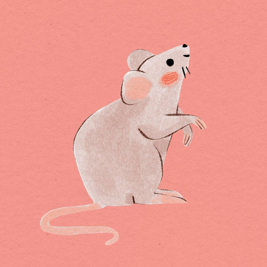 Mouse Rat | Diamond Painting