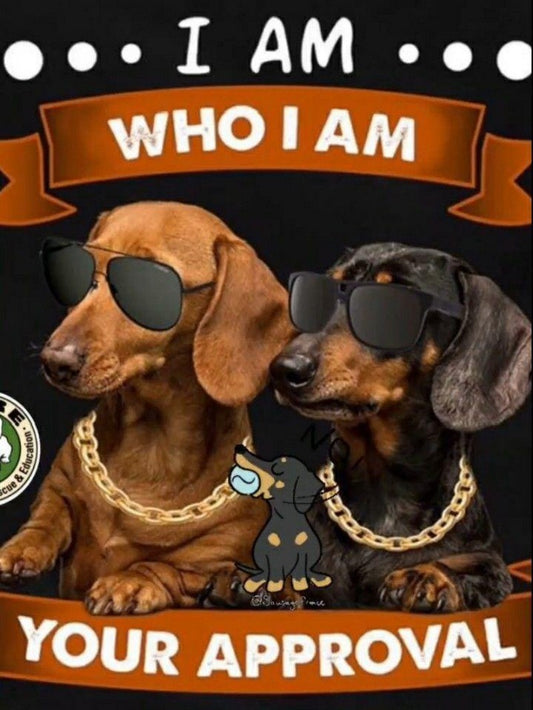 Dachshund Dog | Diamond Painting