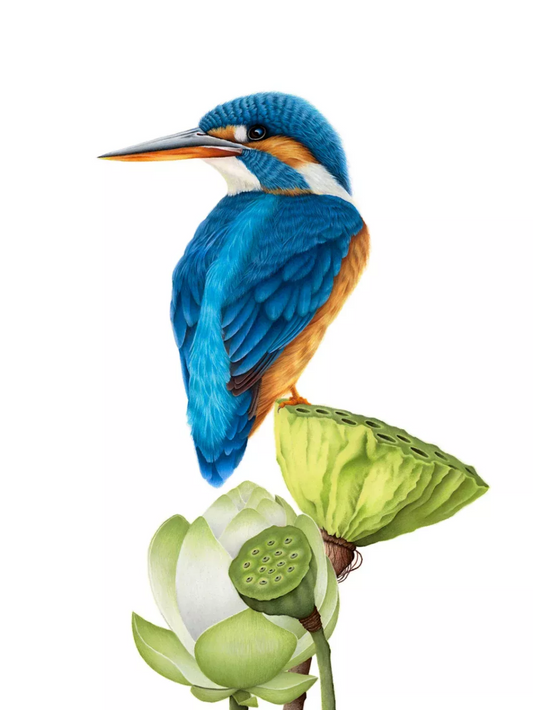 Kingfisher | Diamond Painting