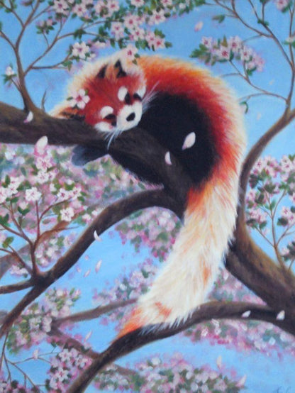 Red Panda | Diamond Painting
