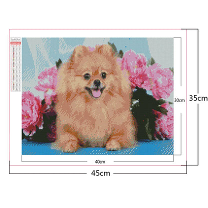 Flower Dog Pomeranian | Diamond Painting