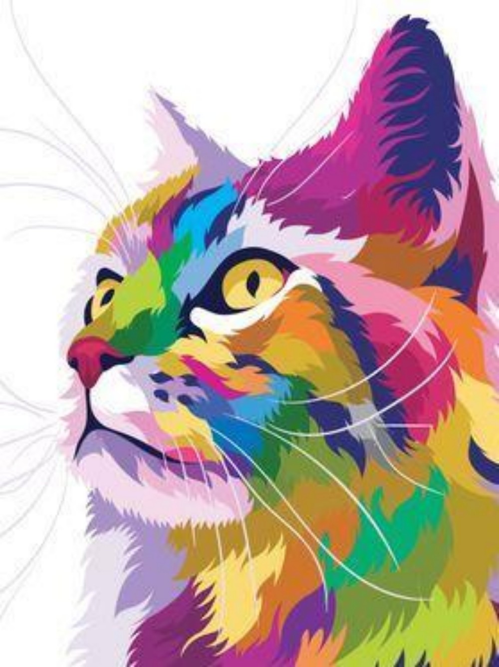 Colorful Cat | Diamond Painting