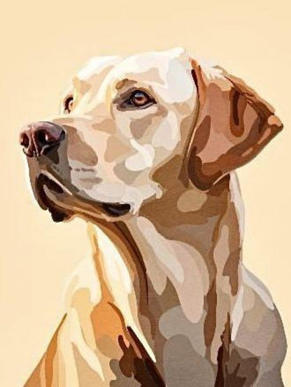 Yellow Labrador Dog | Diamond Painting