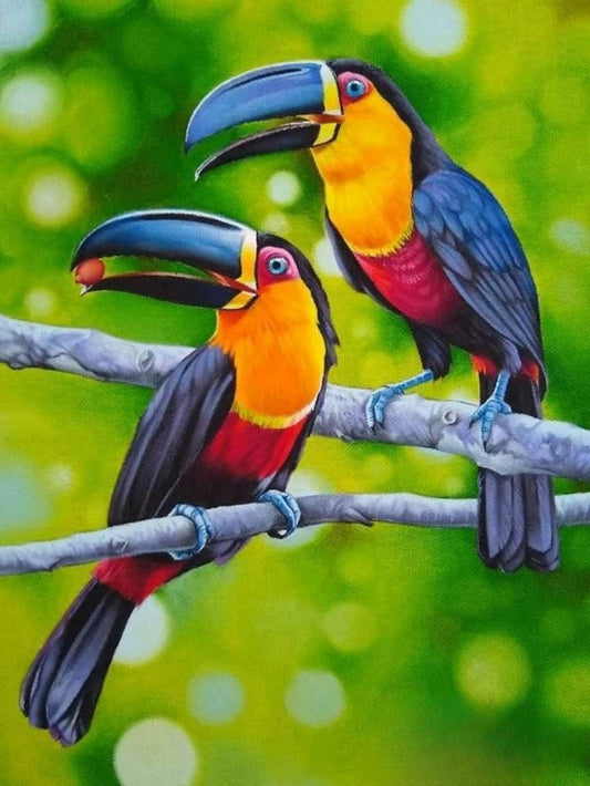 Toucan Bird | Diamond Painting