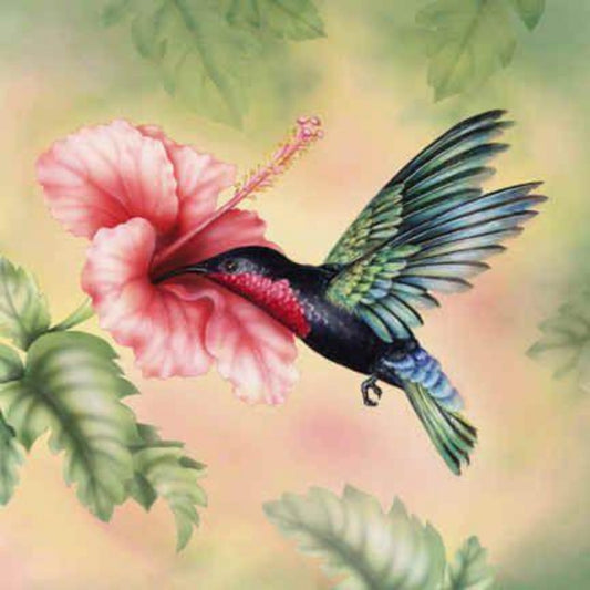 Hummingbird | Diamond Painting