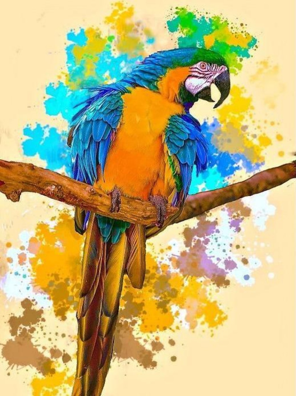 Macaw | Diamond Painting