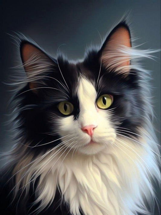 Tuxedo Cat  | Diamond Painting