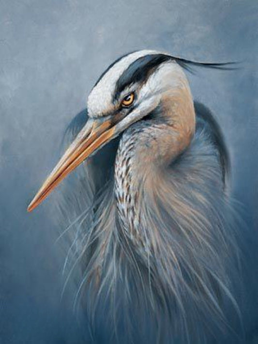 Pelican | Diamond Painting