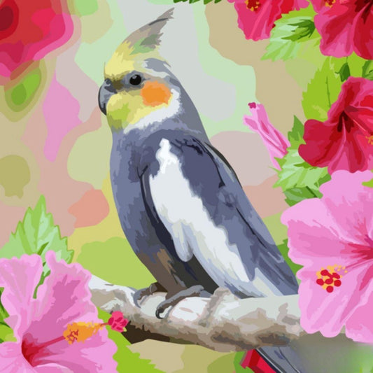 Cockatiel Parrot | Diamond Painting