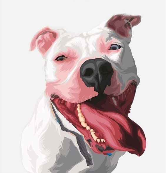 Pit Bull Dog | Diamond Painting