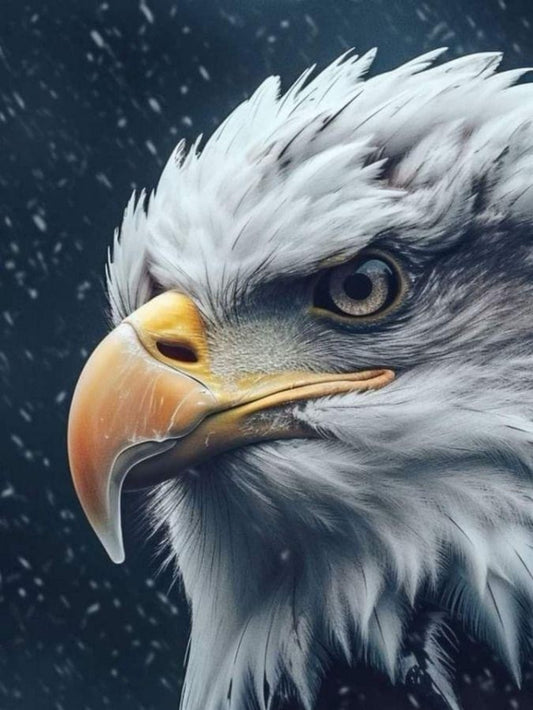 Eagle | Diamond Painting