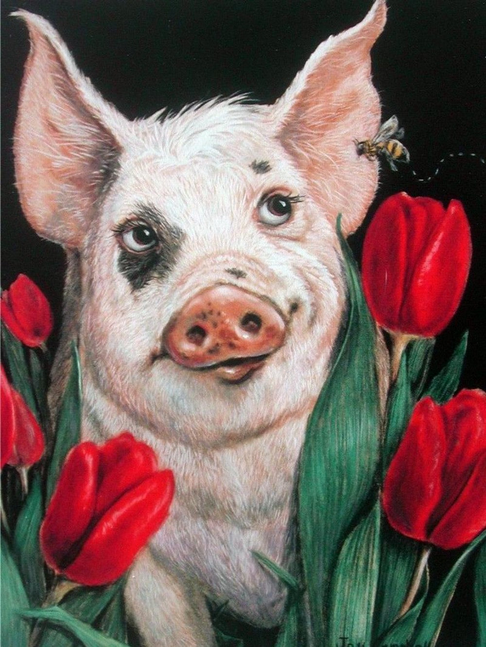 Pig | Diamond Painting