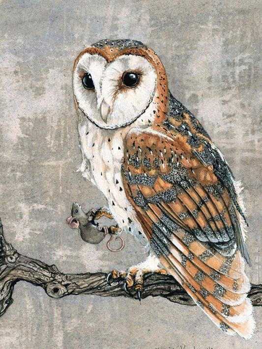 Barn Owl | Diamond Painting