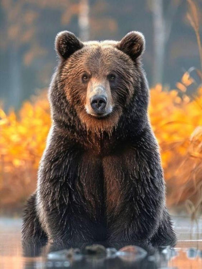 Brown Bear | Diamond Painting