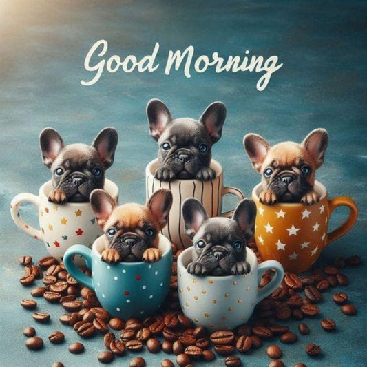 French Bulldog Dog | Diamond Painting