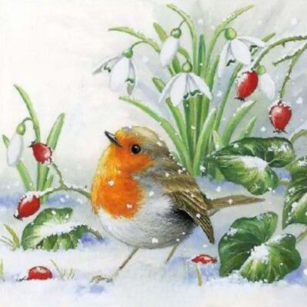 Robin Bird | Diamond Painting