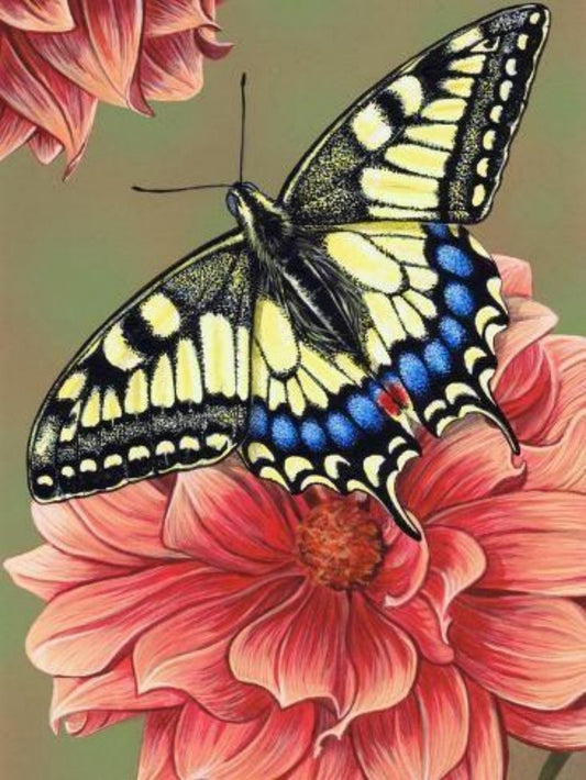 Butterfly | Diamond Painting
