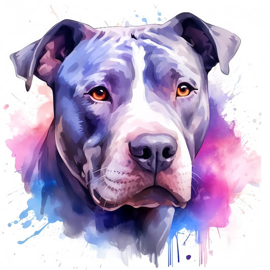 Pit Bull Dog | Diamond Painting