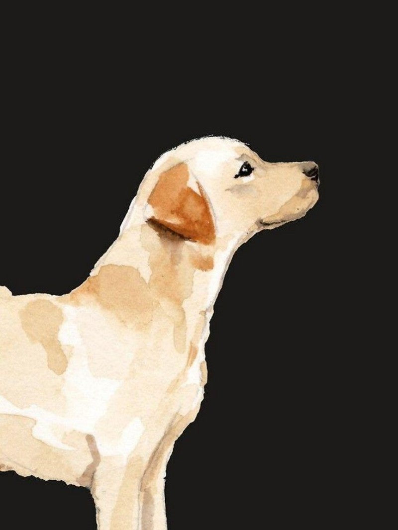 Yellow Labrador Dog | Diamond Painting