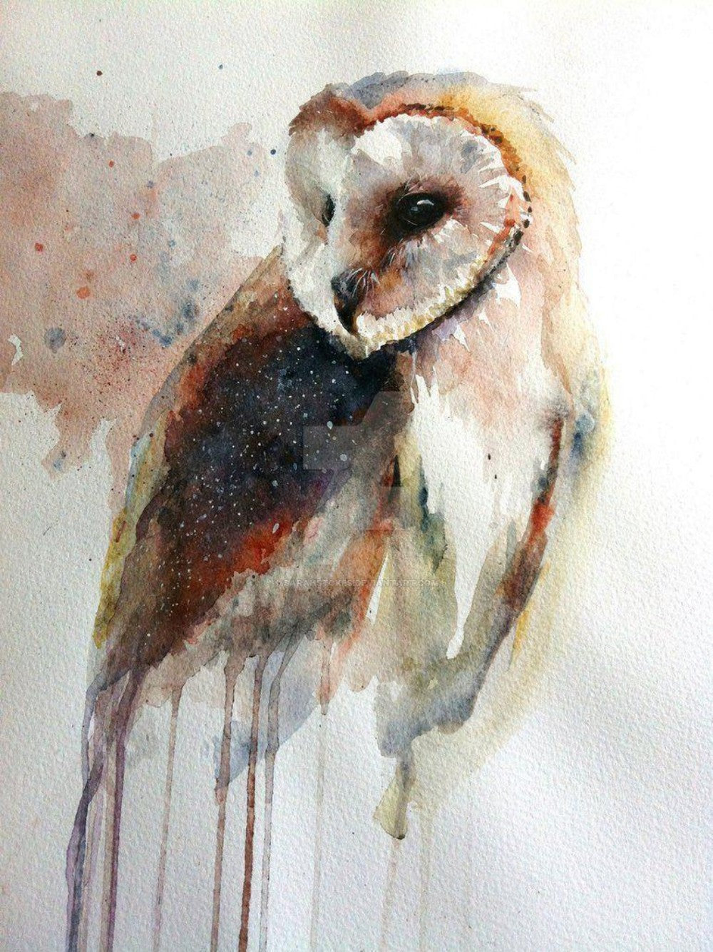 Barn Owl | Diamond Painting