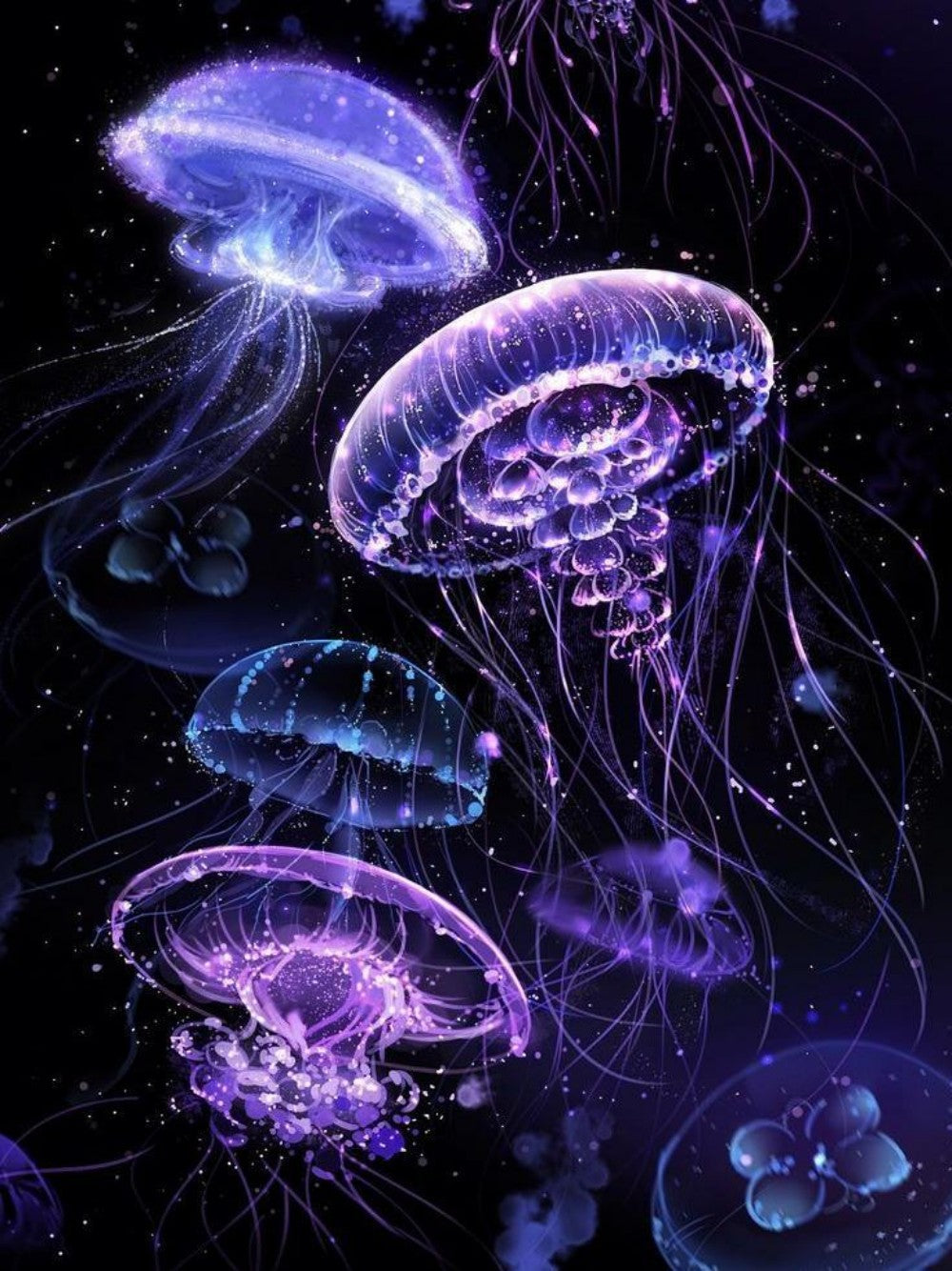 Jellyfish | Diamond Painting