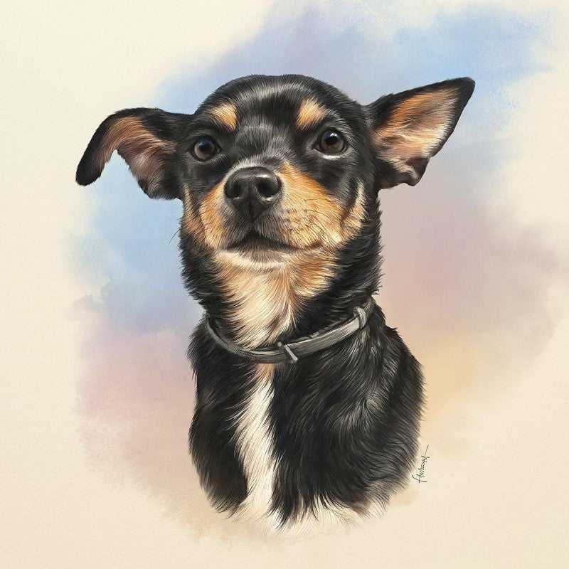 Dog Chihuahua | Diamond Painting