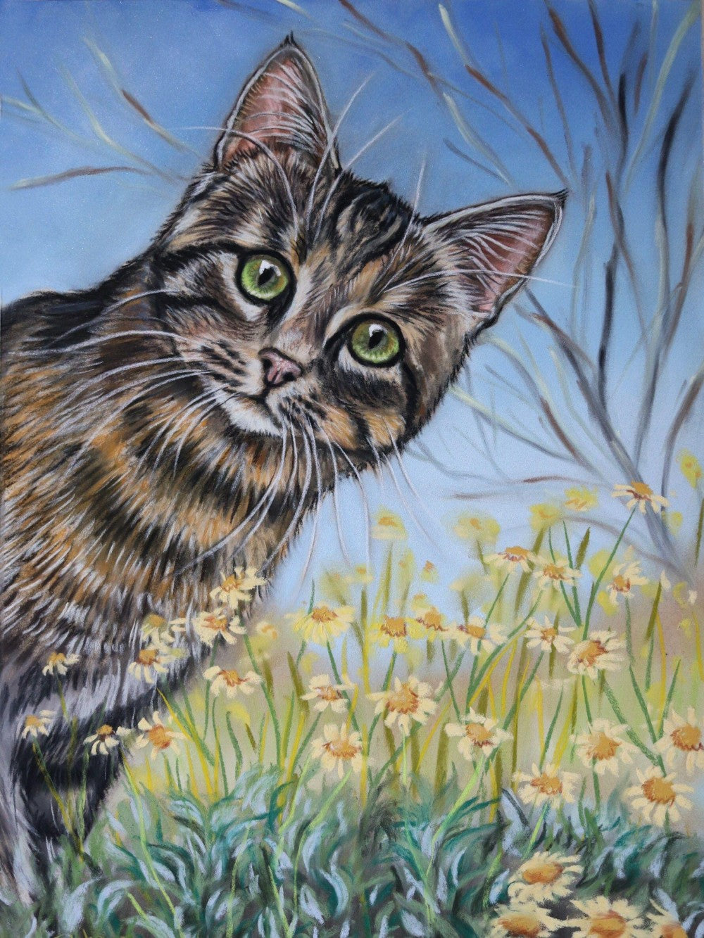 Tabby Cat | Diamond Painting