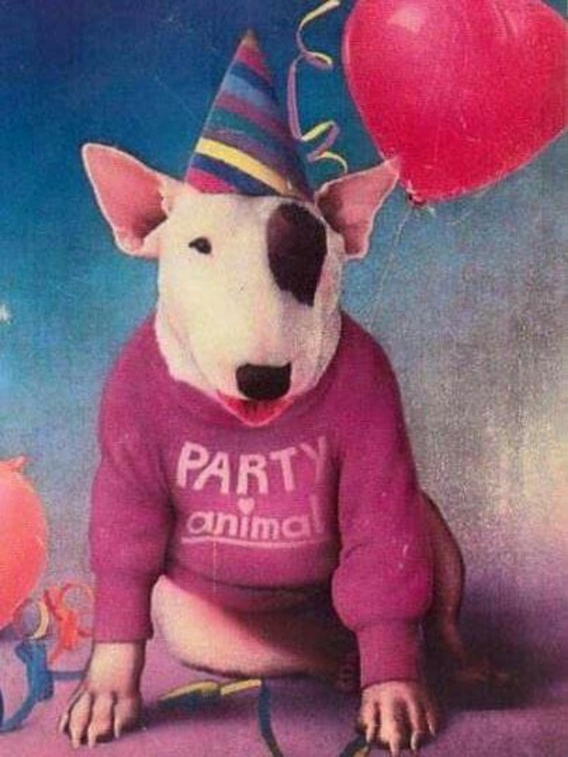 English Bull Terrier Dog | Diamond Painting