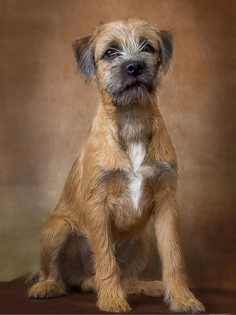 Dog Border Terrier | Diamond Painting