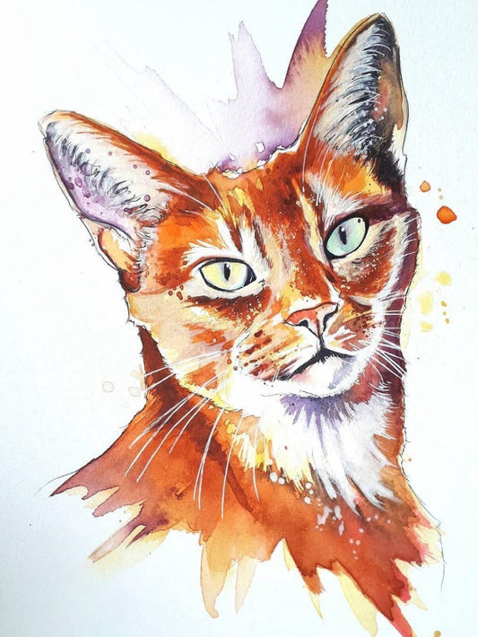 Abyssinian Cat | Diamond Painting