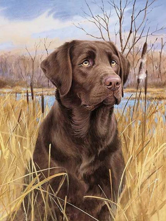 Chocolate Labrador Dog | Diamond Painting