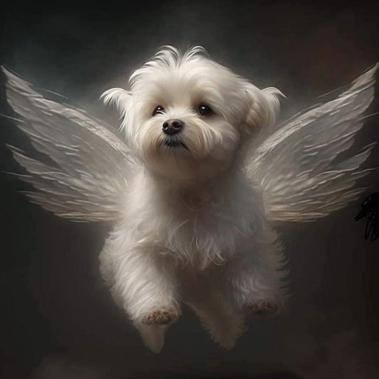 Havanese Dog | Diamond Painting