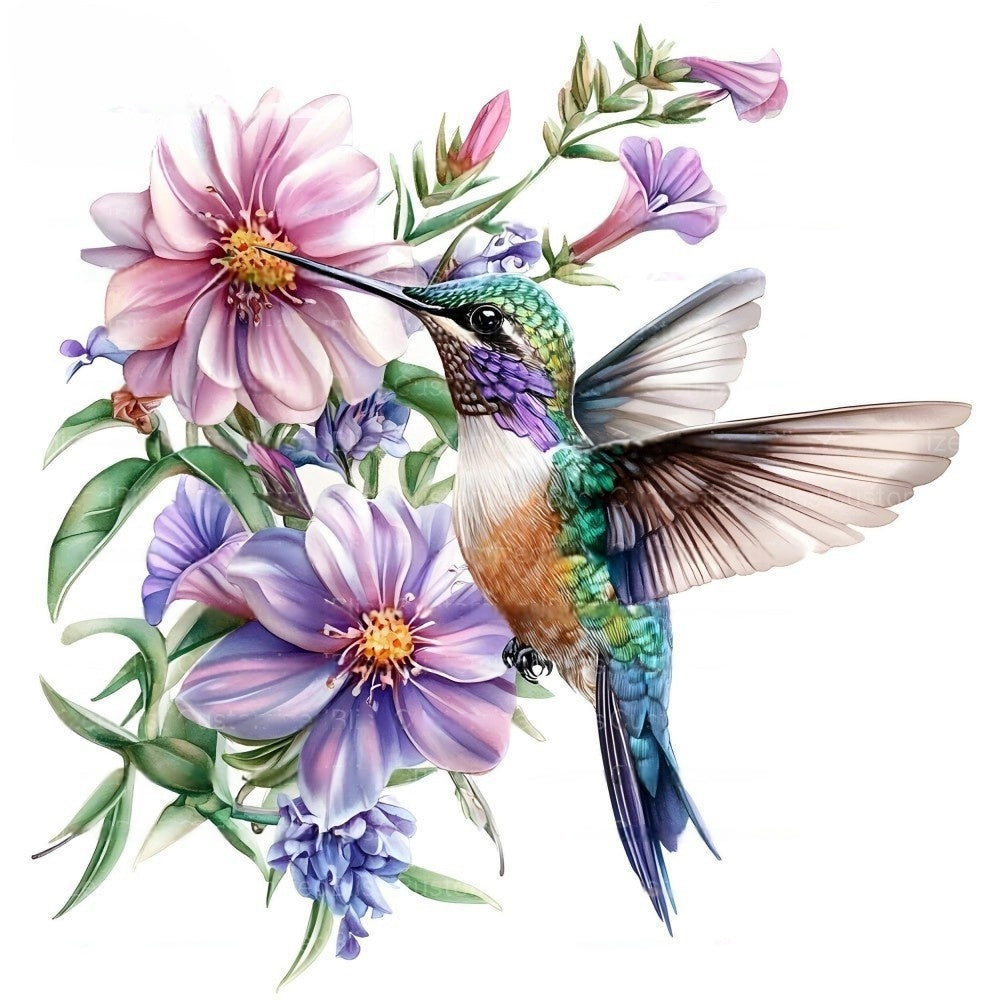 Hummingbird | Diamond Painting