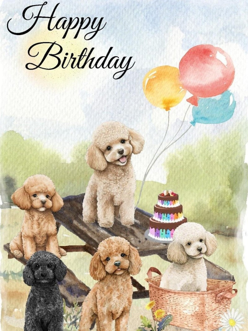 Dog Cockapoo | Diamond Painting