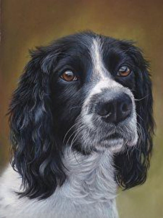 English Springer Spaniel Dog | Diamond Painting